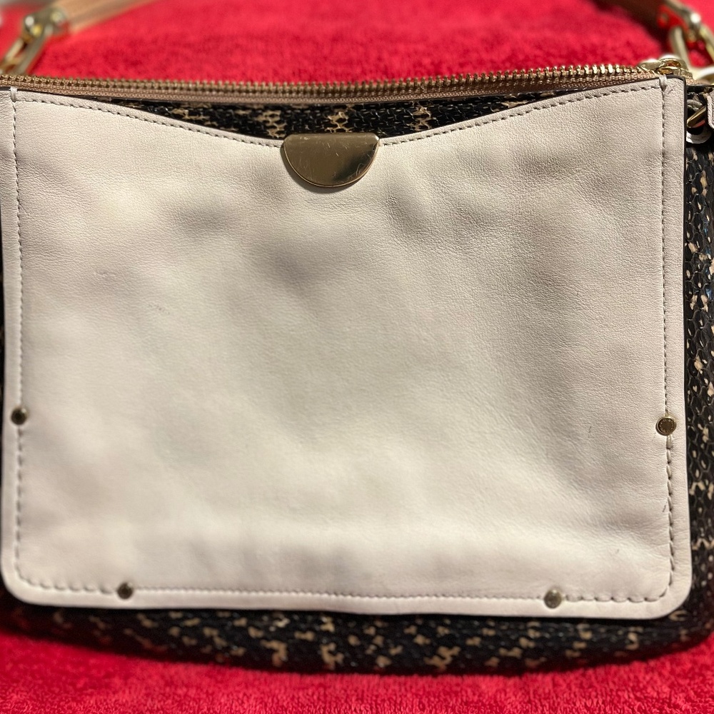 Coach Medium Dreamer bag with Snakeskin detail